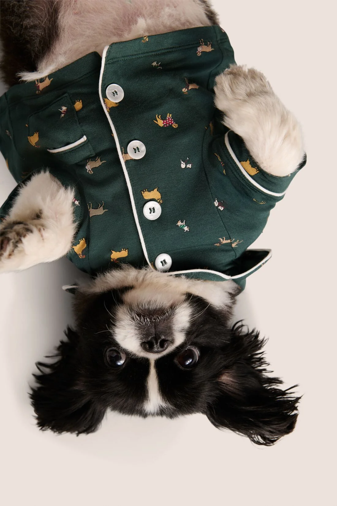 Gisele Printed TENCEL™ Modal Pet PJ - Image 5