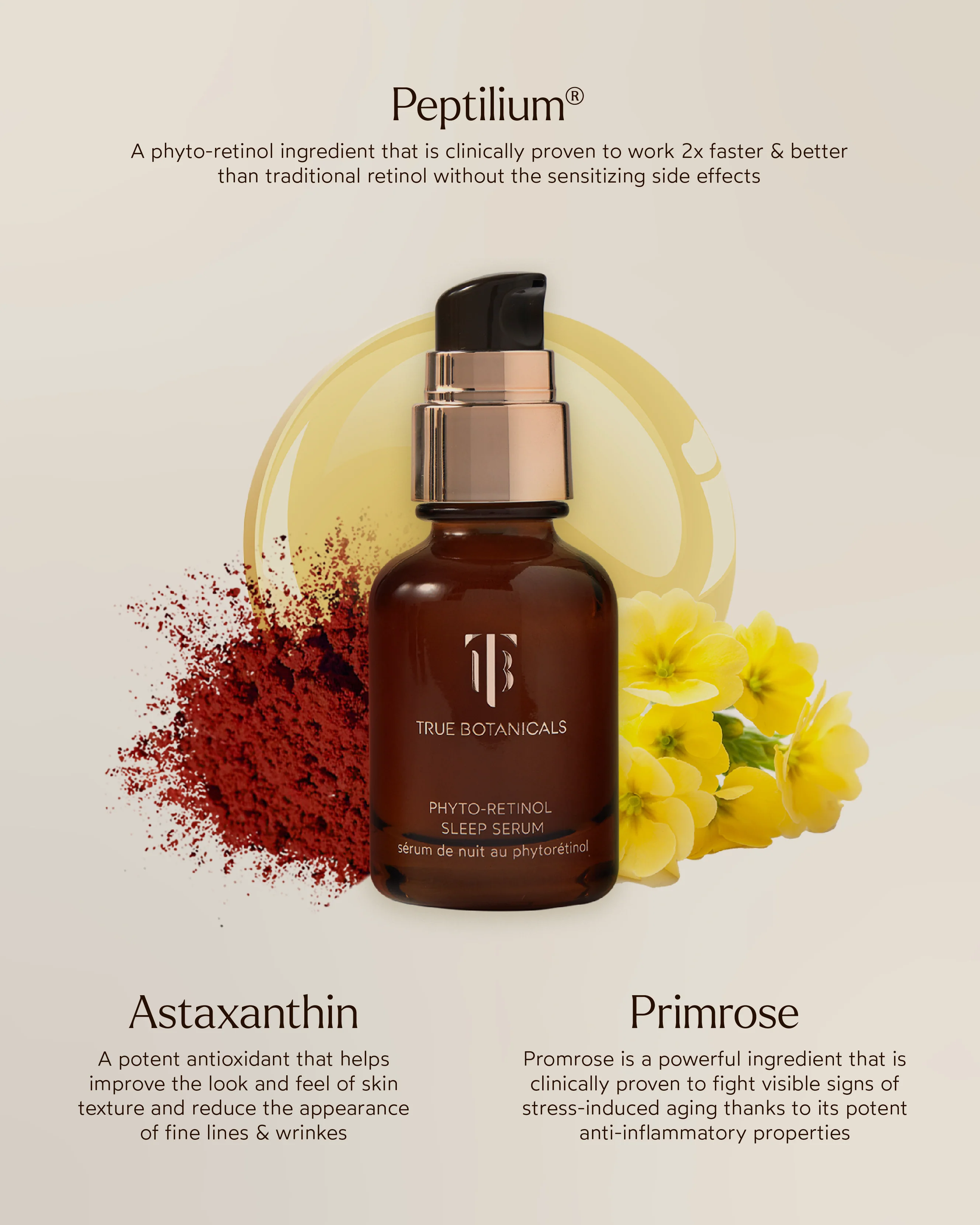 True Botanicals Phyto-Retinol Sleep Serum - Image 3