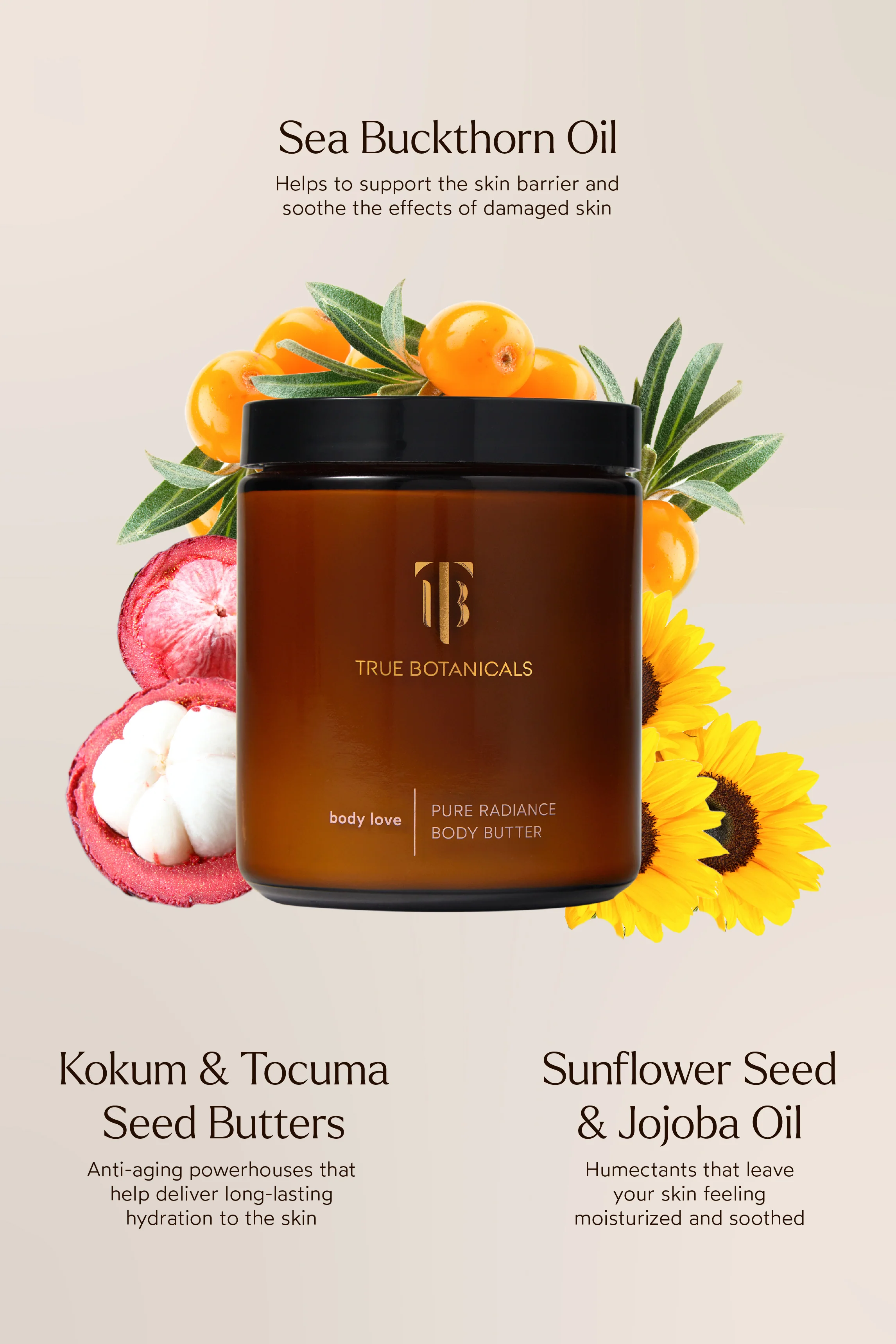 True Botanicals Pure Radiance Body Butter - Image 3